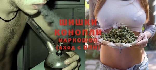 Альфа ПВП Нягань