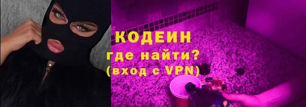 крисы Няндома