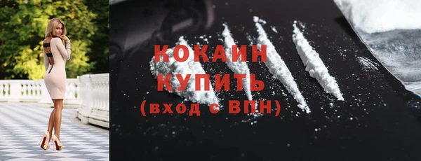 крисы Няндома
