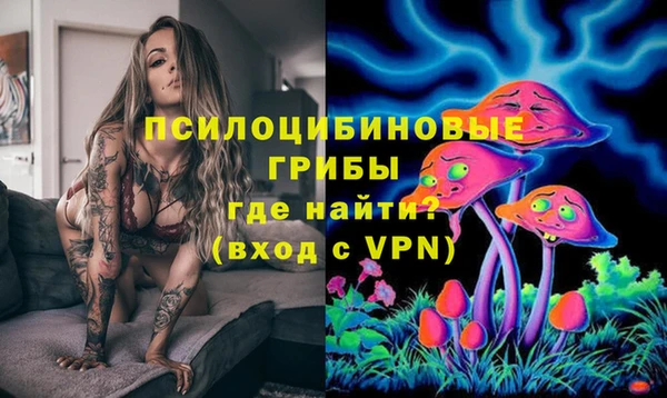 крисы Няндома