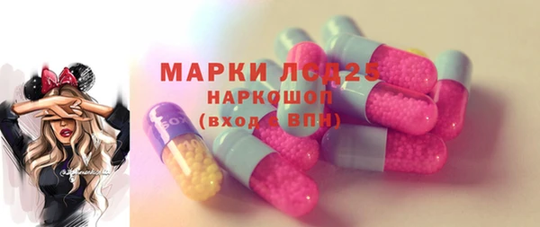 крисы Няндома