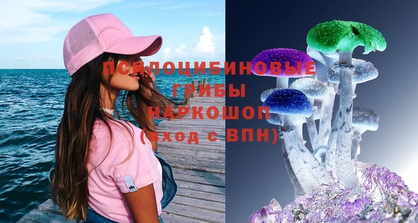 Альфа ПВП Нягань