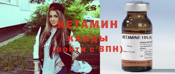 крисы Няндома