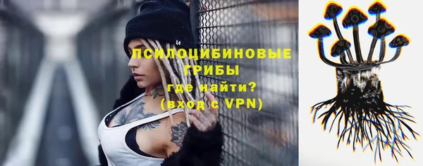 крисы Няндома