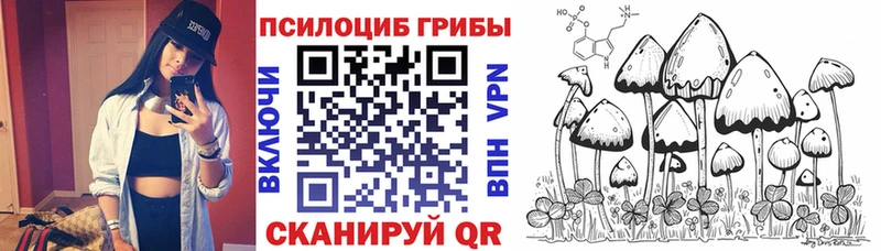 Псилоцибиновые грибы Psilocybine cubensis  мориарти наркотические препараты  Борисоглебск 
