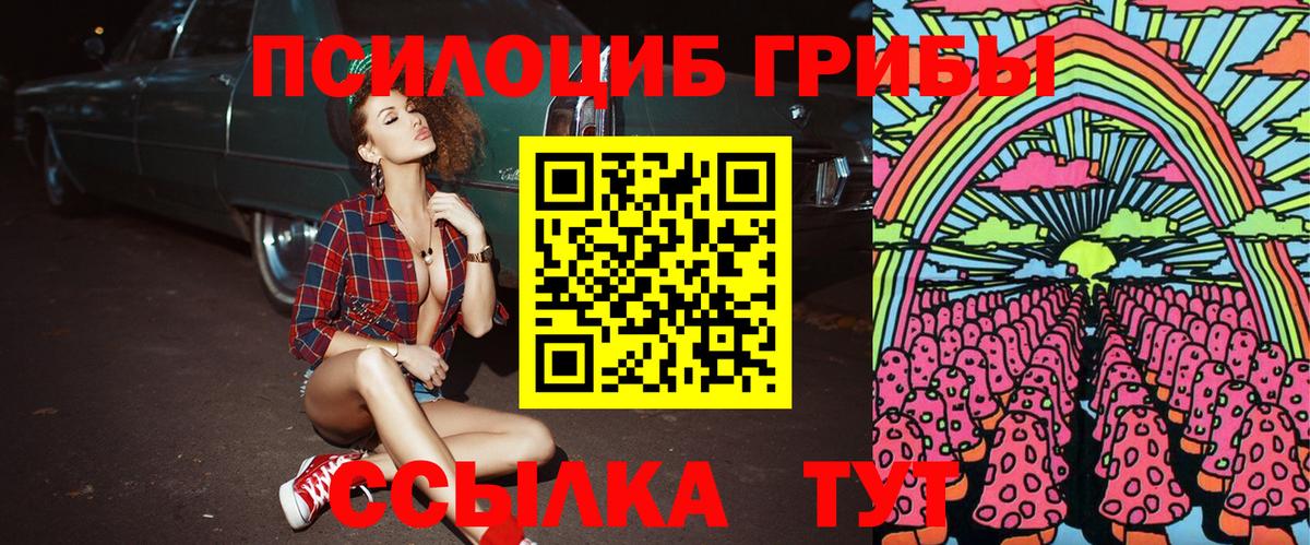 Галлюциногенные грибы Cubensis Борисоглебск