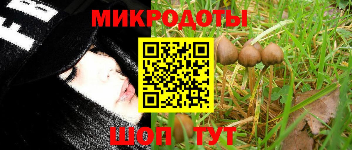 Псилоцибиновые грибы Magic Shrooms  Борисоглебск 