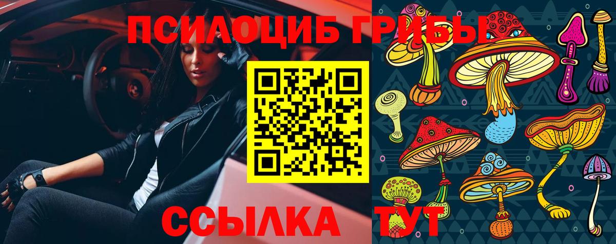 Галлюциногенные грибы MAGIC MUSHROOMS  Псилоцибиновые грибы мухоморы  Борисоглебск  купить  цена  Вход с VPN 