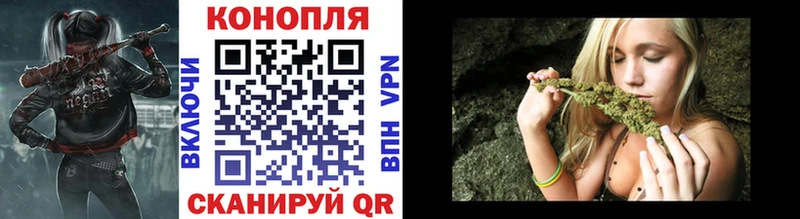 наркота  Борисоглебск  Бошки марихуана планчик 